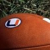 GoBearsGo