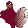 Hokiebird7